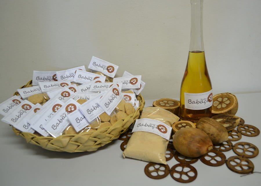 Os produtos à base do babaçu podem substituir derivados de leite e representam novas opções de geração de renda para as quebradeiras de coco do Maranhão


